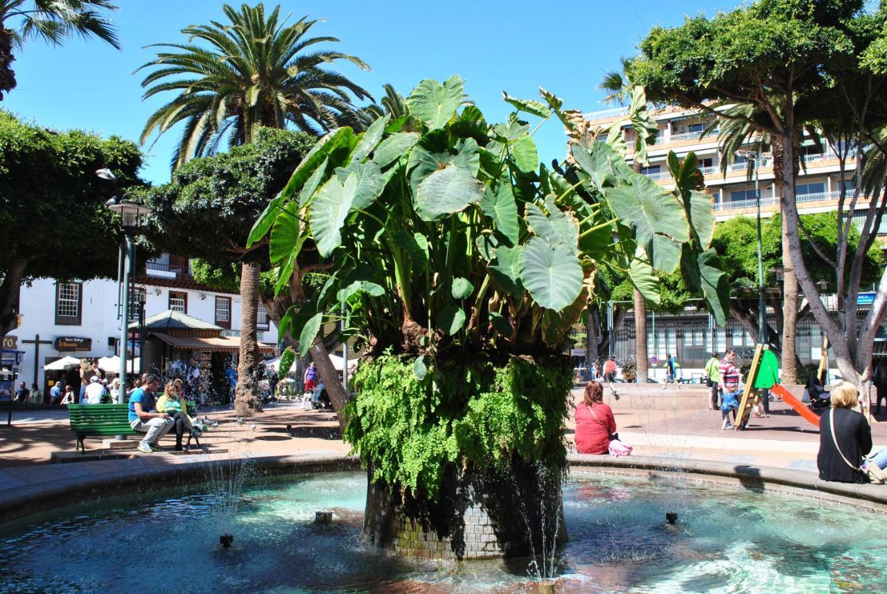 Durazno Tropical Appartement
